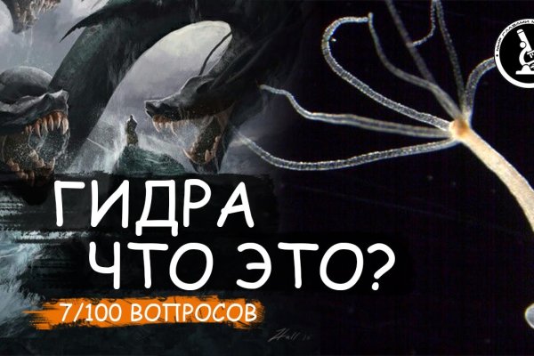 Kraken tor onion зеркало