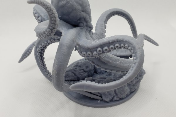 Kraken 24at