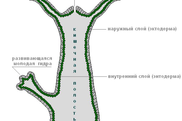 Кракен аватарка маркетплейс